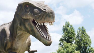 7 Maiores Dinossauros da História: Fatos e Curiosidades